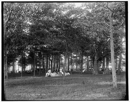 In the grove at Poland Spring Hotel, South Poland, Maine