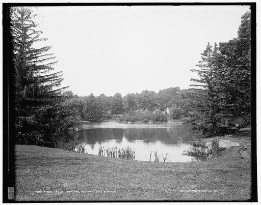 Forest Hills Cemetery, Boston, Lake Hibiscus