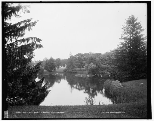 Forest Hills Cemetery and Lake Hibiscus, Boston