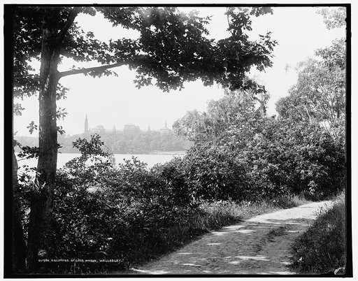 A Glimpse of Lake Waban, Wellesley