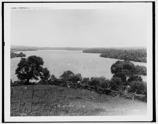 Pasture near Swartswood Lake, N.J.