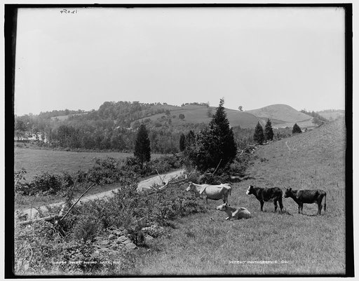 Swartswood Lake, N.J.