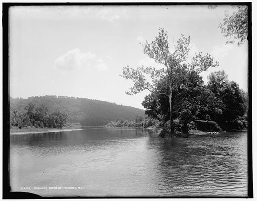 Chemung River at Waverly, N.Y.