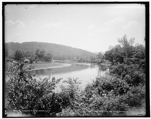 Chemung River at Waverly, N.Y.