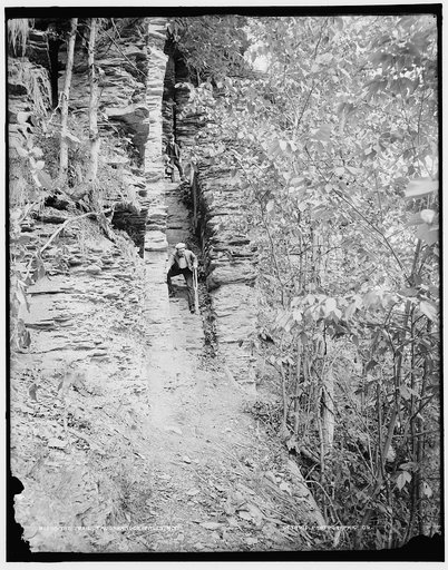 The Trail, Taughannock Falls, N.Y.