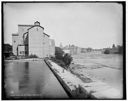 Mills on the river, Oswego, N.Y.