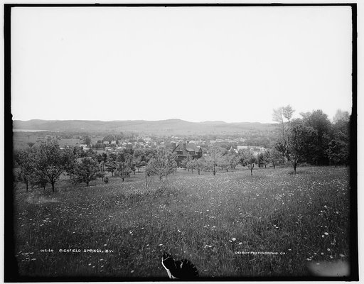 Richfield Springs, N.Y.