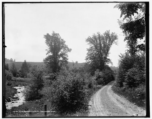 Lake Skaneateles, N.Y., the gorge road