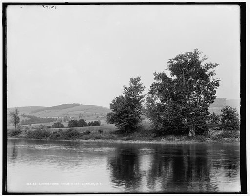 Susquehanna River near Conklin, N.Y.