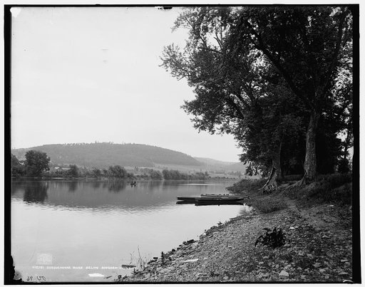 Susquehanna River below Binghamton, N.Y.