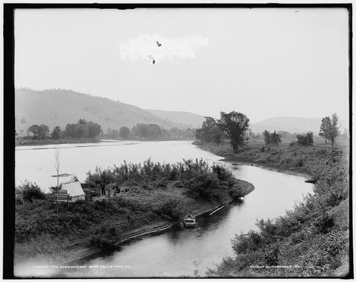 The Susquehanna near Hallstead, Pa.