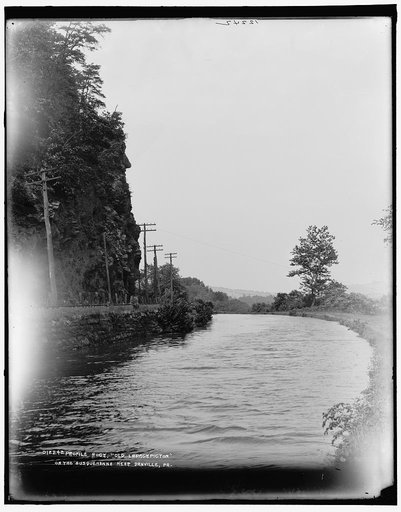 Profile rock, Old Lapackpicton, on the Susquehanna near Danville, Pa.