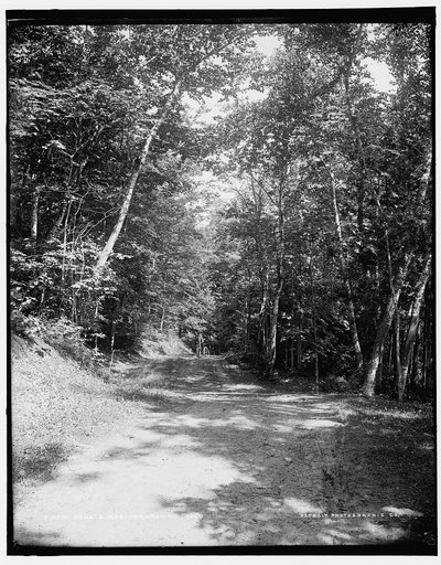Leslie Ave., Mackinac Isl'd