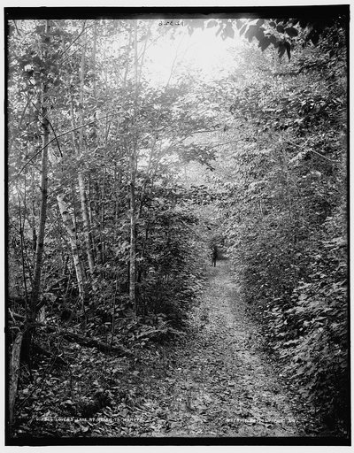 Lovers lane at Ne-ah-ta-wan-ta