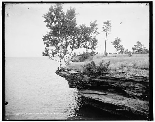 The Three birches, Pointe aux Barques