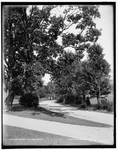 Road on Belle Isle Park, Detroit