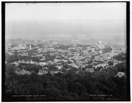Montreal from Mount Royal