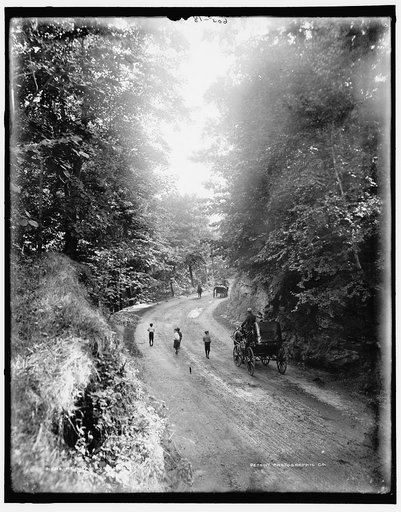 Mt. Royal Road, Montreal