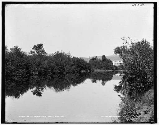 On the Ammonoosuc, White Mountains
