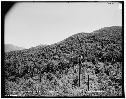 Mt. Webster, Mt. Avalon, and Mt. Tom, White Mountains