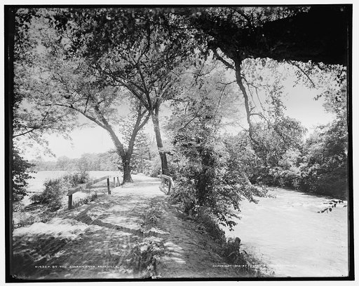 By the Swannanoa, Asheville, N.C.