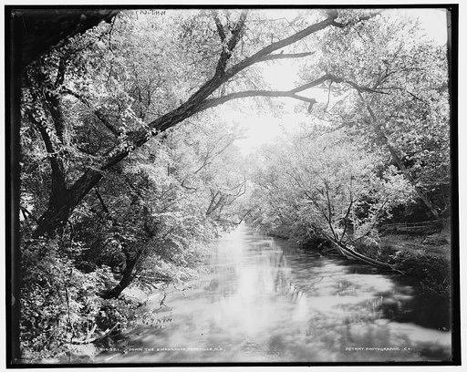 Down the Swannanoa, Asheville, N.C.