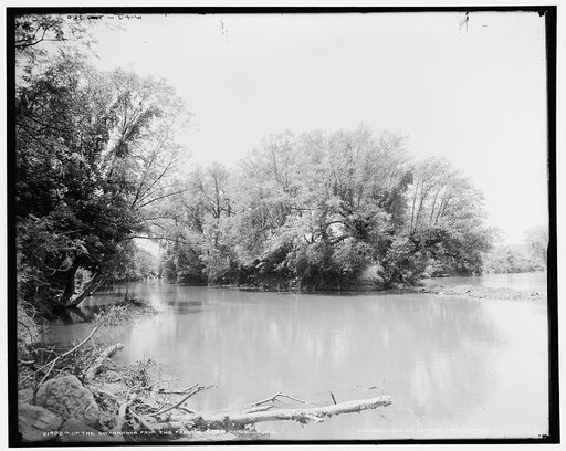 Up the Swannanoa from the French Broad, Asheville, N.C.