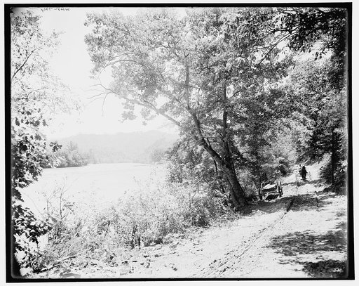 By the French Broad at Jack's Run, N.C.