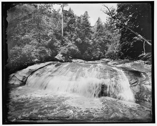 Laurel Cascade on Horse Pasture Creek, Sapphire, N.C.
