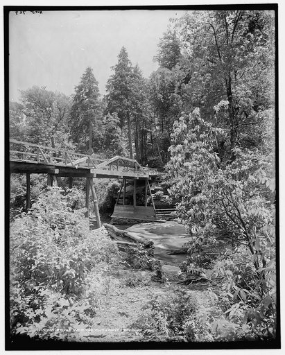Bridge over the Whitewater, Sapphire, N.C.