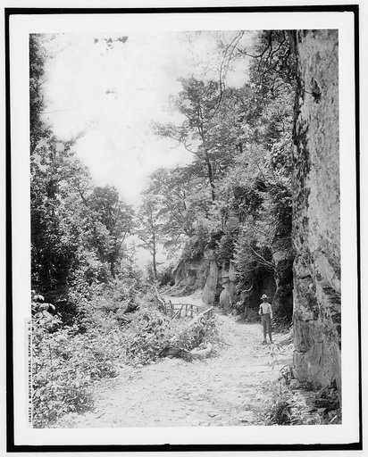 A mountain road, Sapphire, N.C.