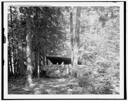 Alligator Head near South Lake, Catskill Mts., N.Y.