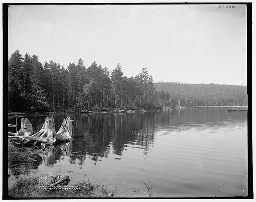 View on South Lake, Catskill Mountains, N.Y.