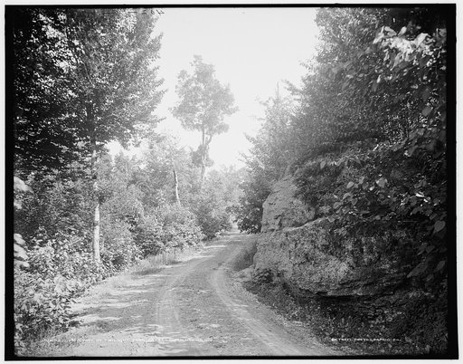 Driveway in Twilight Park, Catskill Mountains, N.Y.