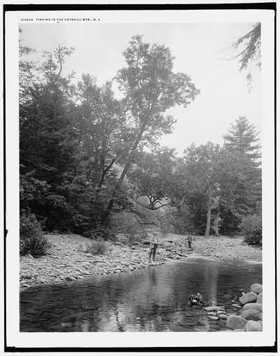 Fishing in the Catskill Mts., N.Y.