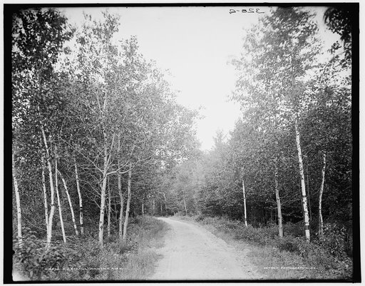 A Catskill Mountain road