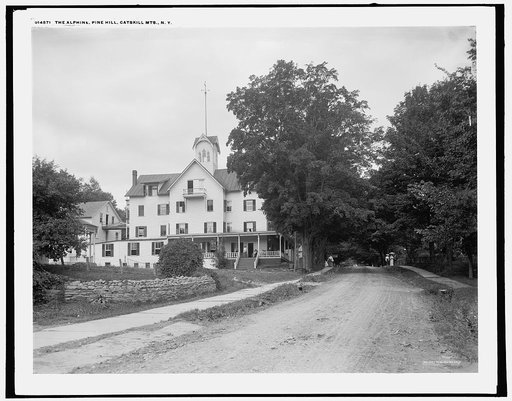 The Alphine [i.e. Alpine], Pine Hill, Catskill Mts., N.Y.
