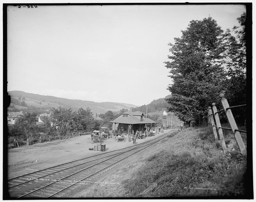 Ulster and Delaware Railroad station, Fleischmann's, Catskill Mountains, N.Y.