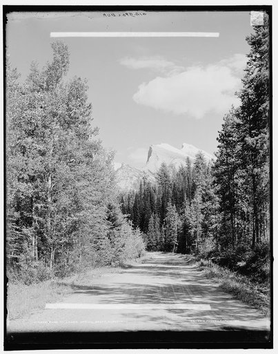 Road to lower spring, Banff, Alberta