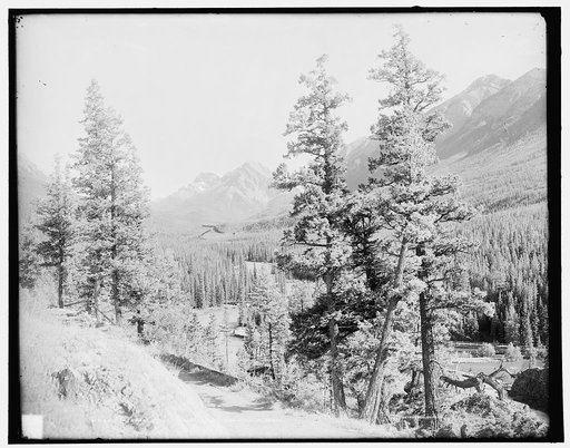 Up Spray Valley from Tunnel Mountain, Alberta