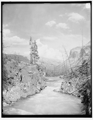 Devil's Canon [i.e. Canyon], looking up, Alberta