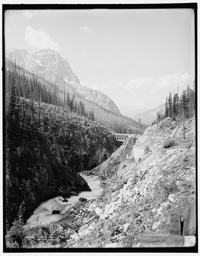 Wapta Canyon above Field, British Columbia