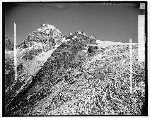 Sir Donald and Illecillewatt [sic] Glacier from Glacier Crest, Selkirk Mountains, B.C.