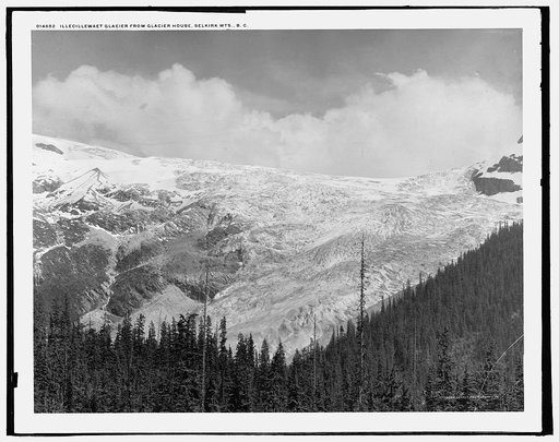 Illecillewaet Glacier from Glacier House, Selkirk Mts., B.C.