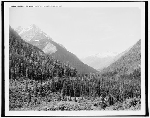 Illecillewaet Valley and Ross Peak, Selkirk Mts., B.C.