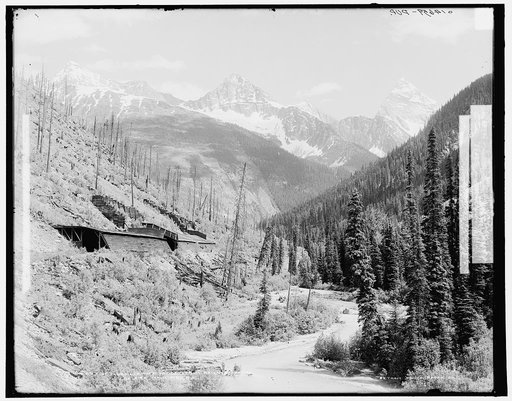 Up Illecillewaet Valley from railroad bridge, Selkirk Mountains, B.C.