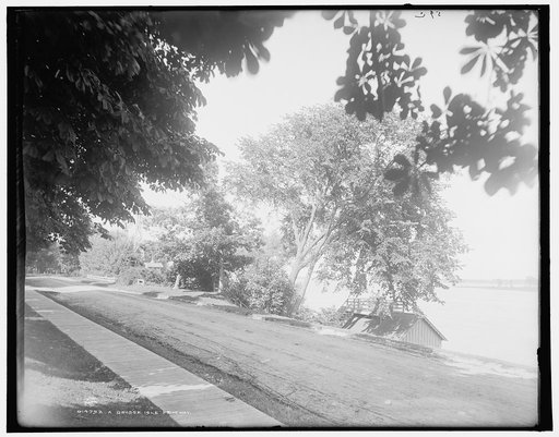 A Grosse Isle driveway