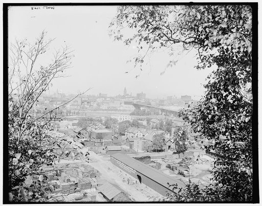 St. Paul from across river