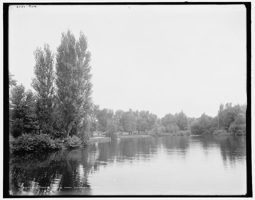Lake in Loring Park, Minneapolis, Minn.