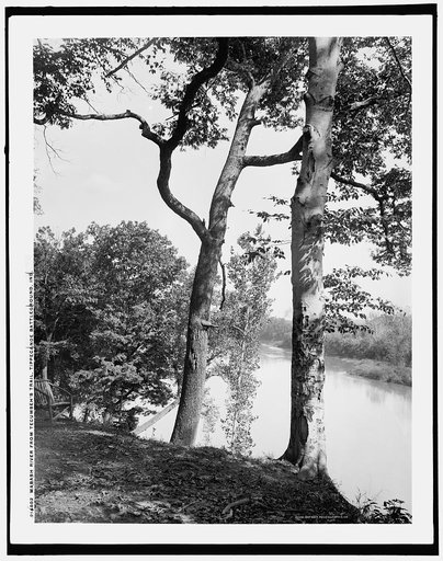 Wabash River from Tecumseh's Trail, Tippecanoe battleground, Ind.